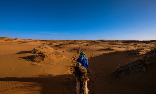 dark blue sky and a desert where a man is riding a camel