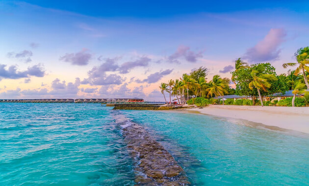 extreme clear and blue sea water, plam trees and huts atthe beach