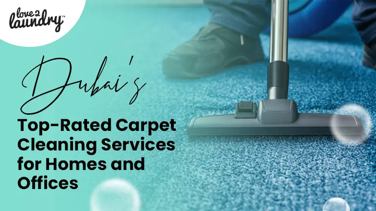 carpet cleaning services for homes and offices