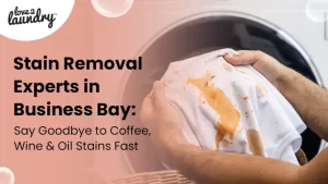 stain removal experts