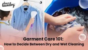 dry and wet cleaning